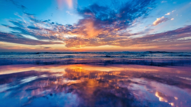 星空体育：室内运动新玩法：双杠单杠健身游戏助你燃烧千卡