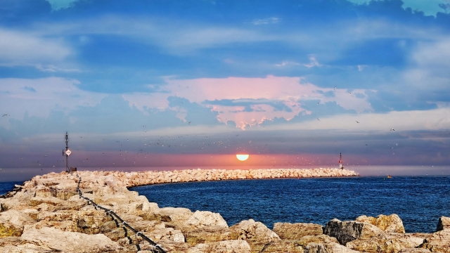 星空：田径投掷类器材